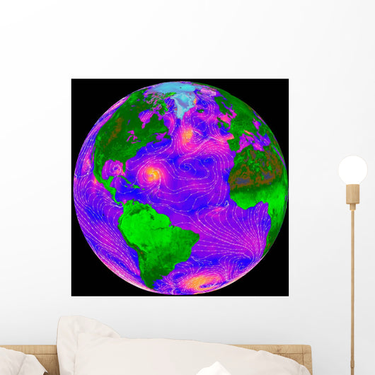Direction and Intensity Surface Wall Decal