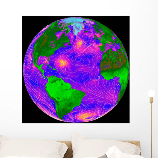 Direction and Intensity Surface Wall Decal