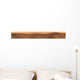 Panoramic Mars Wall Decal Design 2