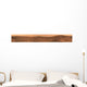 Panoramic Mars Wall Decal Design 2