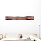 Panoramic Mars Wall Decal Design 3