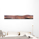 Panoramic Mars Wall Decal Design 3