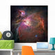 Orion Nebula Wall Decal Design 2