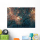 Massive Star Cluster Wall Decal