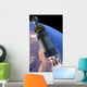 Artist's Rendition New Spaceship Wall Decal