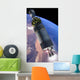 Artist's Rendition New Spaceship Wall Decal