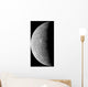 Planet Mercury Wall Decal