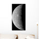 Planet Mercury Wall Decal