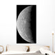 Planet Mercury Wall Decal