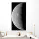 Planet Mercury Wall Decal