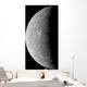 Planet Mercury Wall Decal