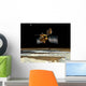 Mars Reconnaissance Orbiter Wall Decal Design 3