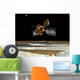 Mars Reconnaissance Orbiter Wall Decal Design 3