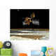 Mars Reconnaissance Orbiter Wall Decal Design 3