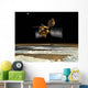 Mars Reconnaissance Orbiter Wall Decal Design 3
