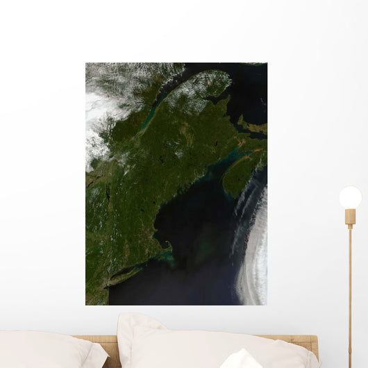 Satellite New England Wall Decal