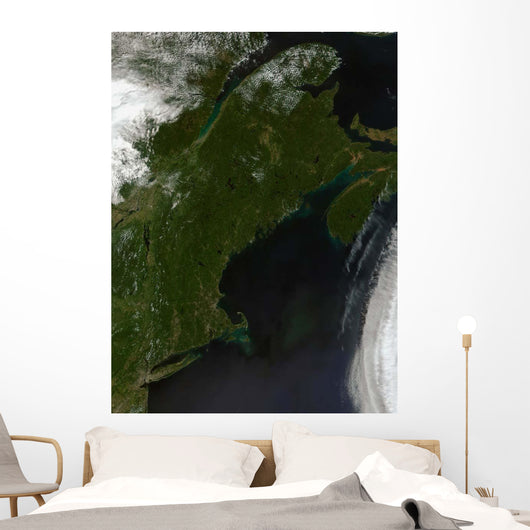 Satellite New England Wall Decal