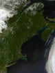 Satellite New England Wall Decal