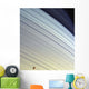 Mimas Drifts along Its Wall Mural