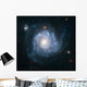 Spiral Galaxy Ngc 1309 Wall Decal