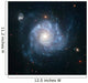 Spiral Galaxy Ngc 1309 Wall Decal