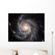 Spiral Galaxy Messier 101 Wall Decal