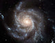 Spiral Galaxy Messier 101 Wall Decal