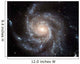 Spiral Galaxy Messier 101 Wall Decal