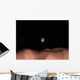 Earth as Seen from Wall Decal