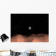 Earth as Seen from Wall Decal