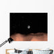 Earth as Seen from Wall Decal