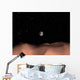 Earth as Seen from Wall Decal