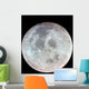 Moon Wall Decal Design 9