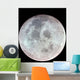 Moon Wall Decal Design 9