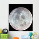 Moon Wall Decal Design 9
