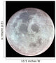Moon Wall Decal Design 9