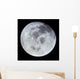 Full Moon Wall Decal Design 2