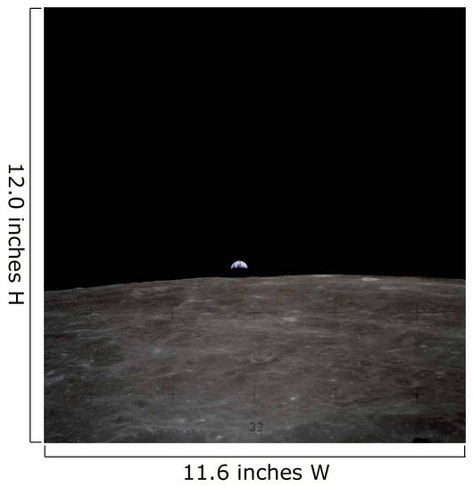 Earth Rises over Lunar Wall Decal