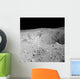 Apollo 16 Image Lunar Wall Decal