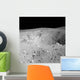 Apollo 16 Image Lunar Wall Decal