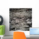 Lunar Foot Prints Moon Wall Decal