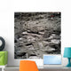Lunar Foot Prints Moon Wall Decal