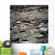 Lunar Foot Prints Moon Wall Decal