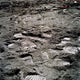 Lunar Foot Prints Moon Wall Decal