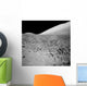 Lunar Surface Wall Decal Design 2