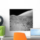 Lunar Surface Wall Decal Design 2