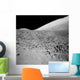 Lunar Surface Wall Decal Design 2