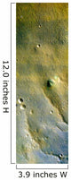 Surface Mars Wall Decal