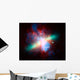 False-colored Messier 82 Galaxy Wall Decal