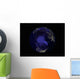 Full Earth Night Showing Wall Decal Design 6